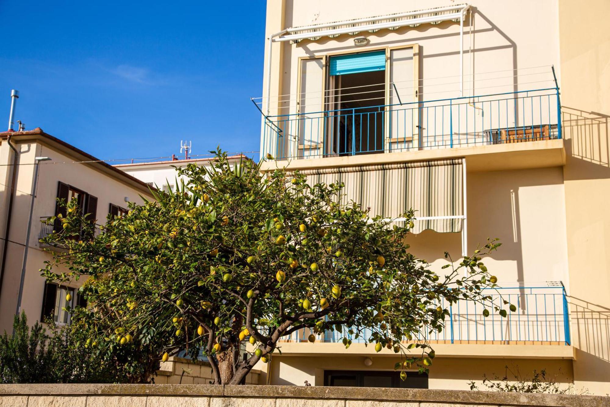 Appartamento Il Limone Zona Centrale Vista Mare 산빈첸초 외부 사진